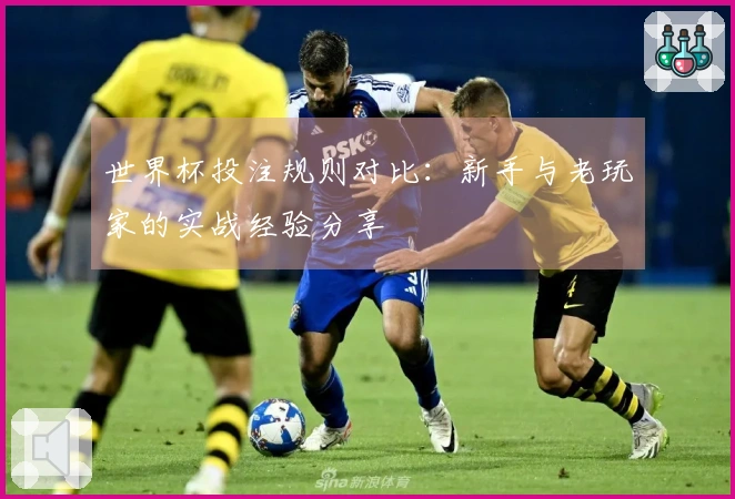 世界杯投注规则对比：新手与老玩家的实战经验分享