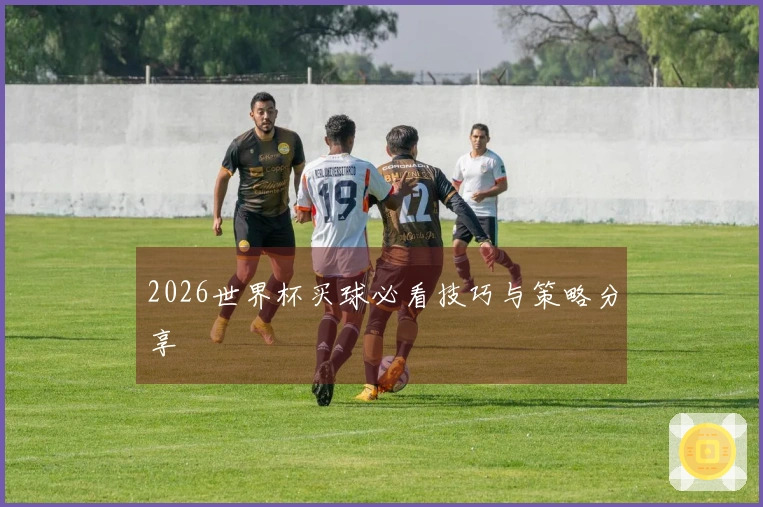 2026世界杯买球必看技巧与策略分享