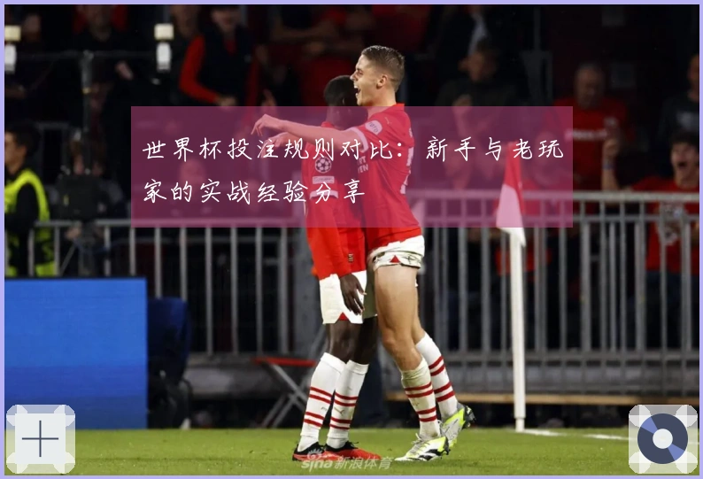 世界杯投注规则对比：新手与老玩家的实战经验分享