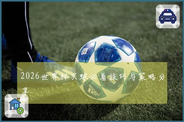 2026世界杯买球必看技巧与策略分享