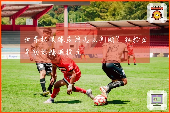 世界杯滚球应该怎么判断？经验分享助你精明投注