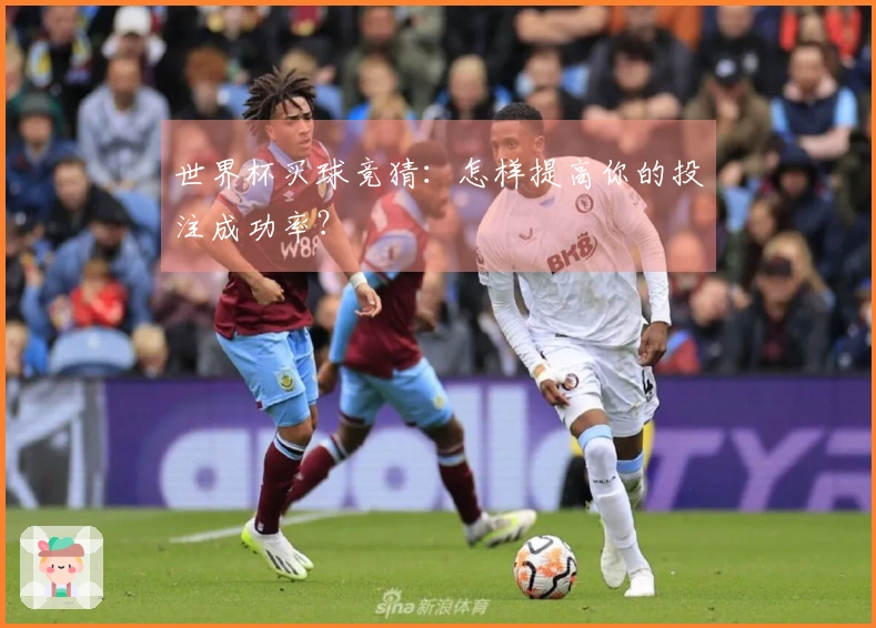 世界杯买球竞猜：怎样提高你的投注成功率？